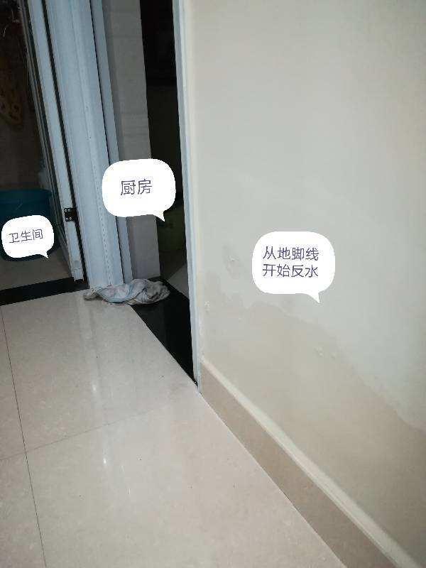 房子装修，乳胶漆与墙布如何选择？插图27