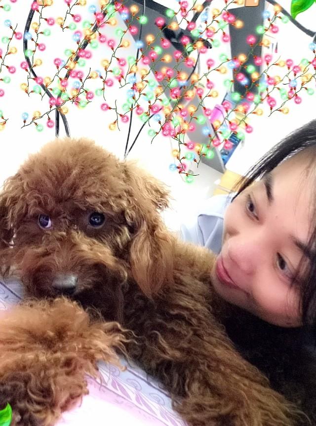 幼犬什么时候可以洗澡:刚到家的小狗什么时候能洗澡？