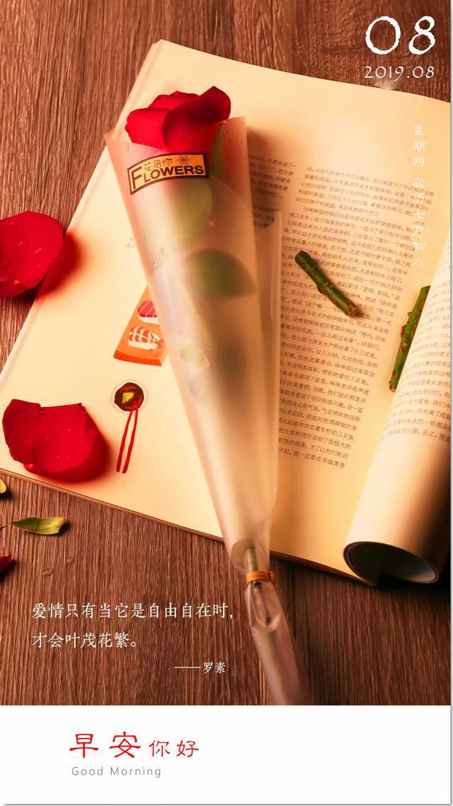 早安正能量图片带字:清晨的阳光和努力的你,都值得被命运温柔以待