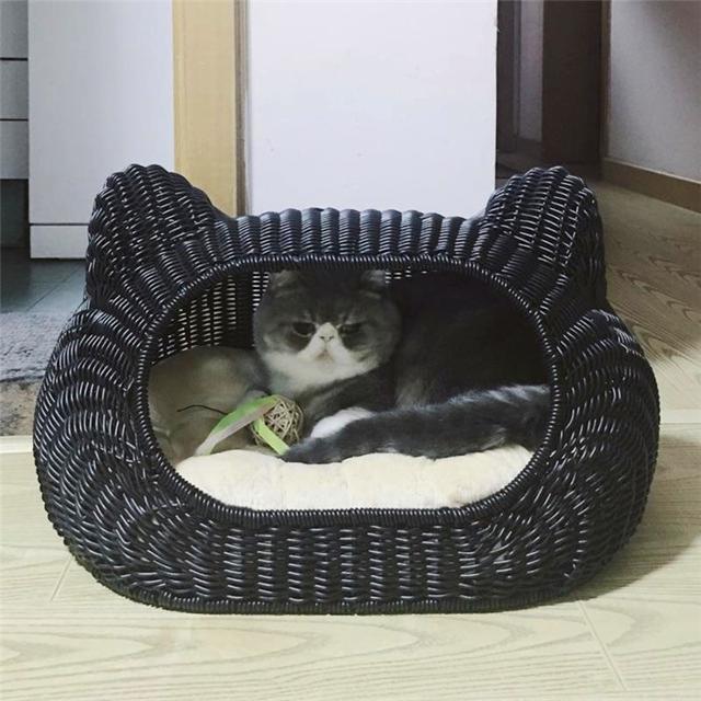 猫窝:猫窝图片 用泡沫箱做个小窝，适合小猫用吗？为什么？