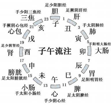 生姜壮阳，养阳气最简单的方法是什么