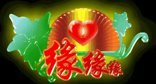 喵窝lovecation:猫咪爱你，你觉得会有什么表现？
