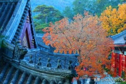 刘绍棠简介:中国近现代史上文笔最好的十位作家是谁？