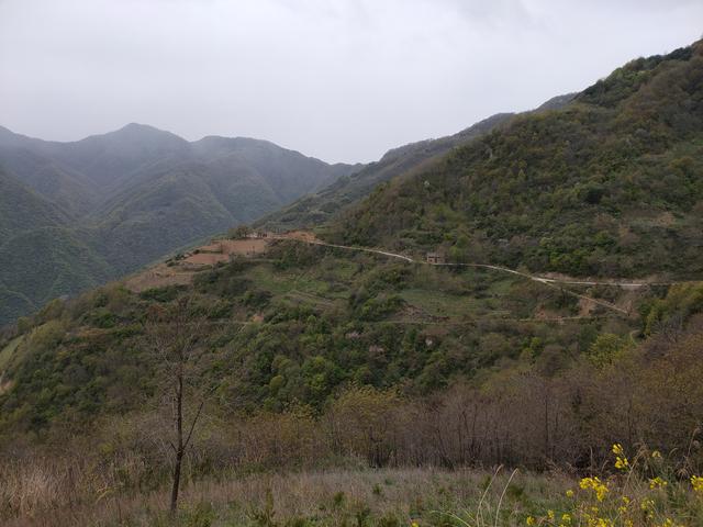 新藤惠美:地里长了许多葛根藤，怎么清除？