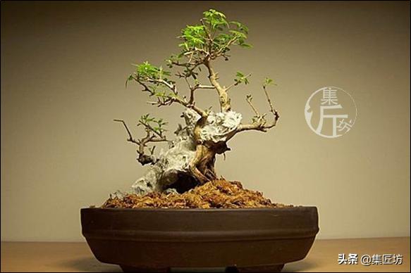 培新机械:工业机器人专业有哪些就业方向？