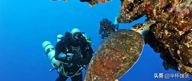 波斯湾:红海波斯湾都是一样的海域，为何红海叫海波斯湾称湾呢？