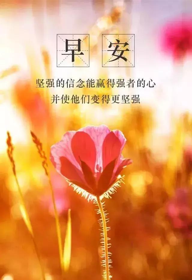 早晨激励语图片：用脚步丈量路途，用泪光点缀坚强