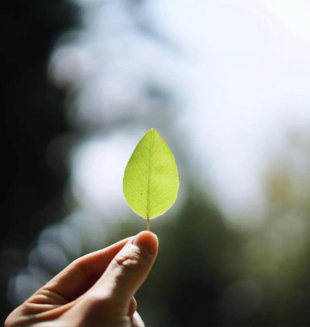 自己消化情绪图片:你上了一天班以后是怎么排解内心的压力和委屈和种种不良情绪的？