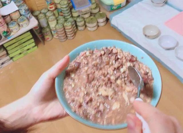 赛维洛犬菌清哪里有卖:为什么有的小奶猫会容易得猫癣、奶癣？
