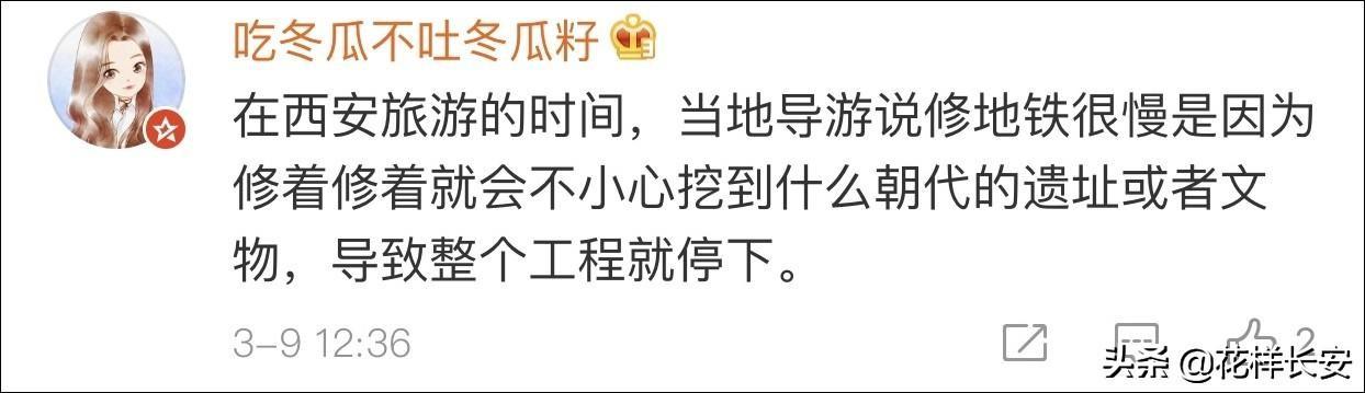 西北藏獒网红王一号:怎么看待西安是一个网红城？
