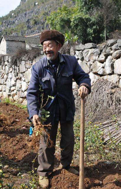 翁帆怀孕:研究生的我怀孕了，导师那里该怎么交代
