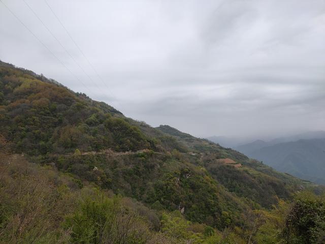 新藤惠美:地里长了许多葛根藤，怎么清除？
