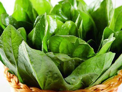 头条问答 - 春天什么青菜最嫩?(48个回答)