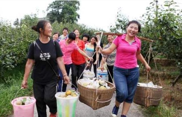 留守妇女与狗:你对农村留守儿童老人妇女怎么看待？