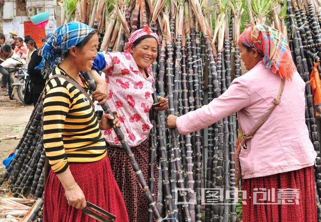 水蔗草(水蔗草的功效与作用)