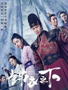 锦衣之下电视剧的简介有吗？