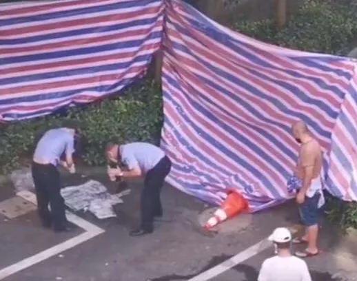 新西兰警犬试穿新款背心:现在杭州失踪来惠利女士家已贴封条。为何家属报警时，不贴封条？