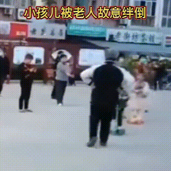 女孩回应遛狗绊死老人逃离现场:顺德金毛被打死案件应如何解决？