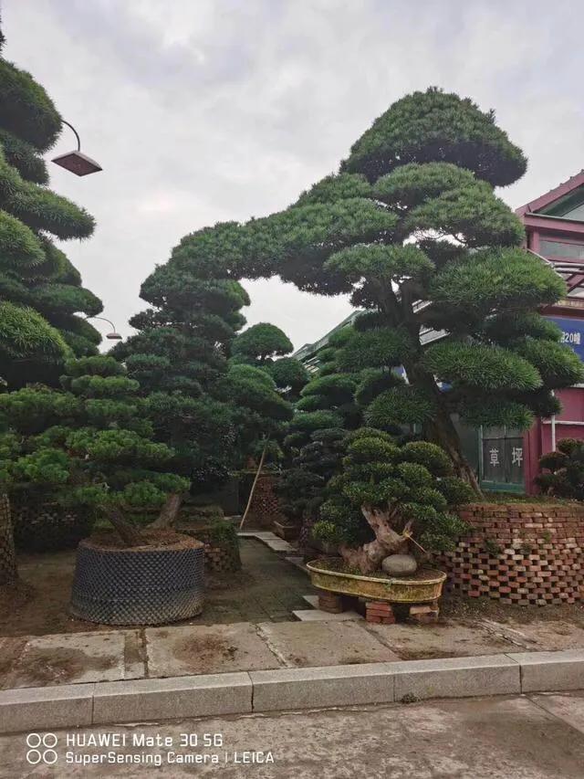 农村有没有必要修建小广场或者小游园供村民休闲？