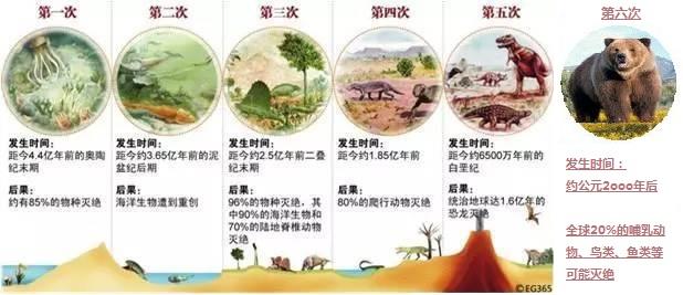 11月有4场天象大戏:地球上有五次大灭绝，请问是哪五次？
