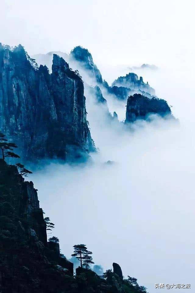 黄山奇松介绍:挂在悬崖峭壁上的黄山十大名松！指的是那十大名松？因什么得名？