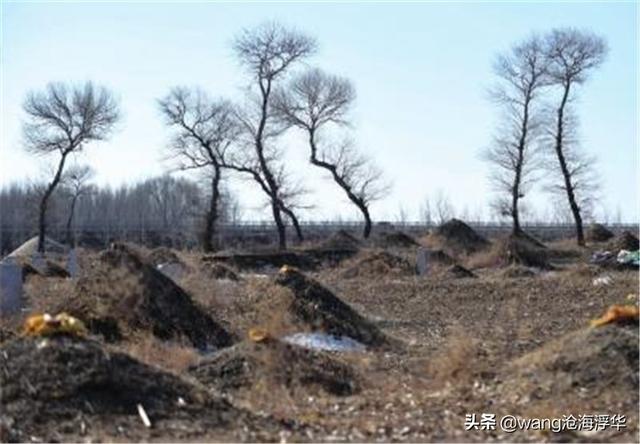 石姑坟墓灵异事件:人死了留骨灰干吗，不就一堆灰吗，洒了不一了百了吗？