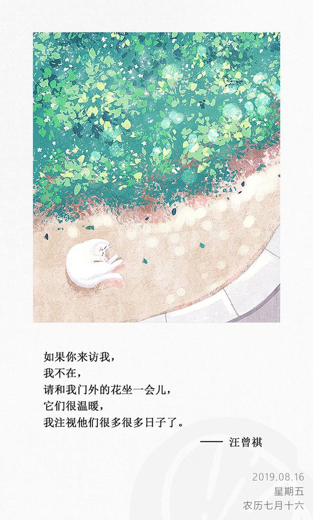 早安图片日签周五190816：只过好当天的日子，也不失为一种智慧