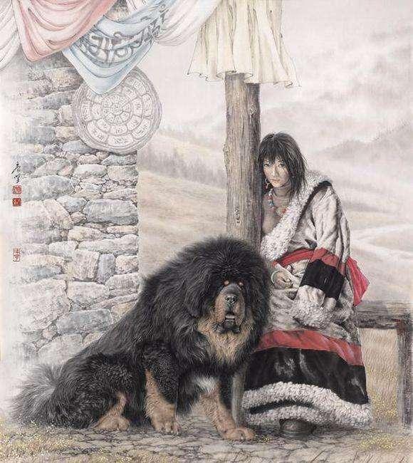 青海最新藏獒信息网:如何看待藏獒经济崩盘，青藏高原数万只流浪狗成灾？