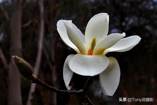 美丑的本质区别在哪？