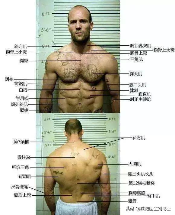 头条问答 男40 体脂率 后怎么都减不下来了 我该如何突破 御行健身的回答 0赞