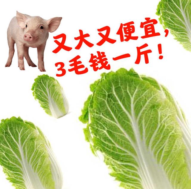 你有哪些逢人就推荐的护肤品？