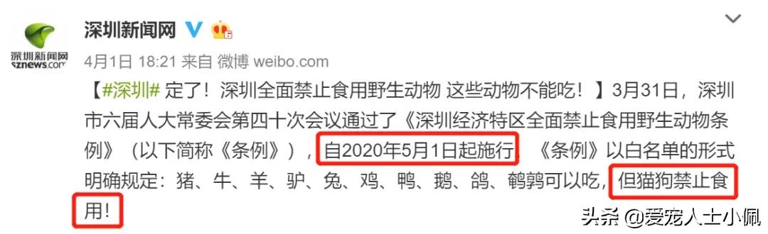 12条狗被投毒:小区里有人讨厌狗狗，投毒致数十条狗狗死亡，这些都不用负责吗？
