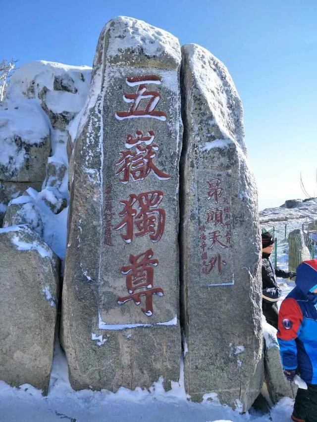 李娅 过山风:阴阳师中茨木，云外镜，山风，御怨般若养哪个好？