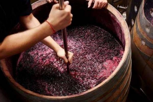 葡萄酒的保质期是多少年，家里的葡萄酒放了好几年了还能喝吗？