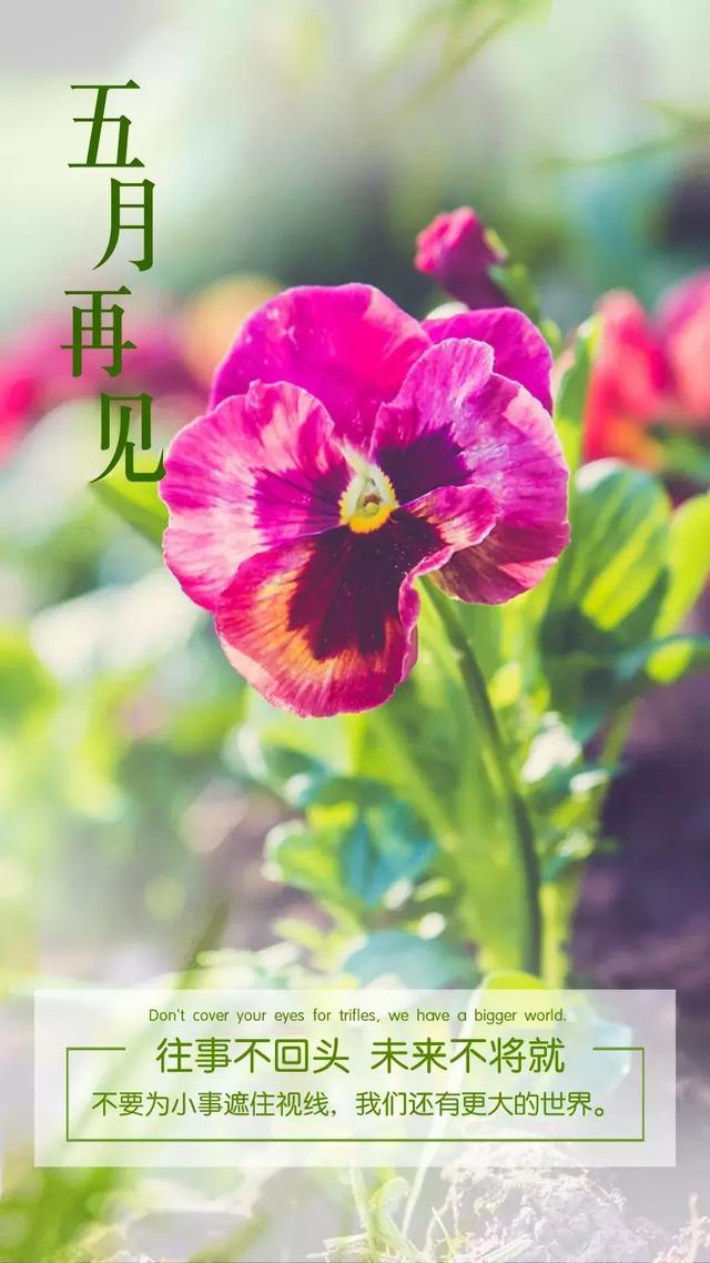 5月31早安日签图片说说，5月最后一天正能量早上好问候语句