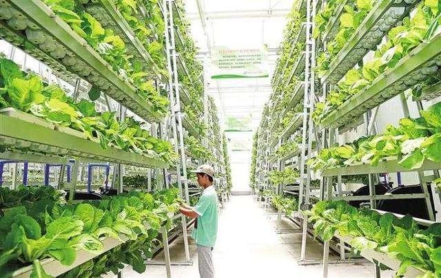 农学专业在中国有什么未来?-头条问答