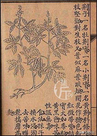 培新机械:工业机器人专业有哪些就业方向？