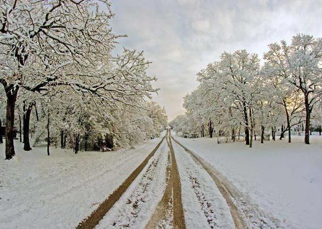落雪的资料:薛之谦那个认真的雪是写给谁的有什么故事？