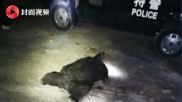 宜宾筠连:为什么宜宾动车都没有，却是三线城市？