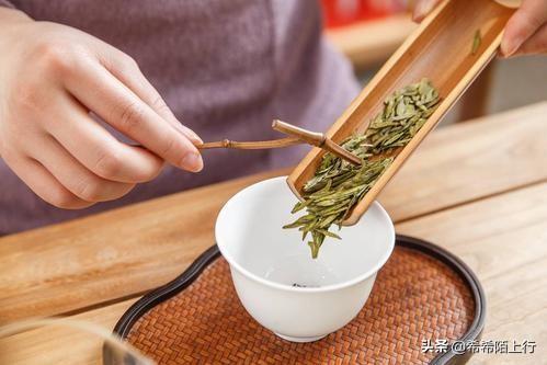 各种绿茶有什么区别？