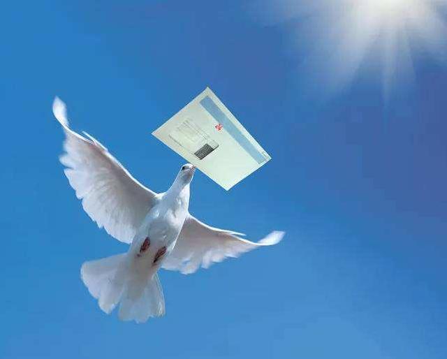 海琪的天空:对于梅艳芳的情感经历，你怎么看