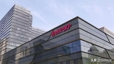 西北藏獒网红王一号:怎么看待西安是一个网红城？