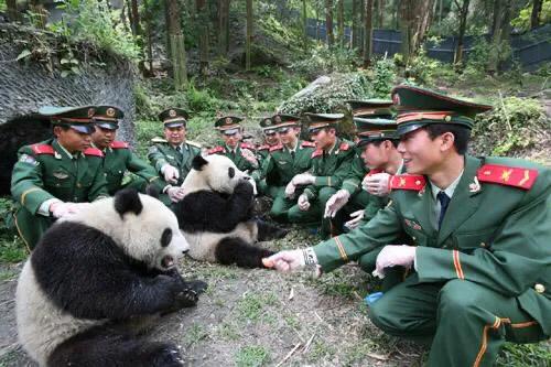 云南发现真龙，贵州龙叫事件儿是真是假啊你怎么看这个龙叫事件