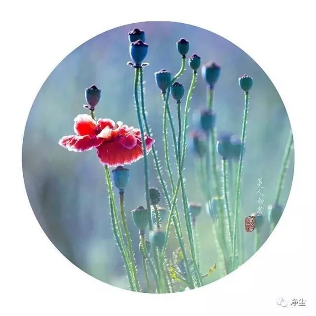 常荫槐:有人说“不懂人情世故的人，往往混得不怎么样”对此你怎么看？