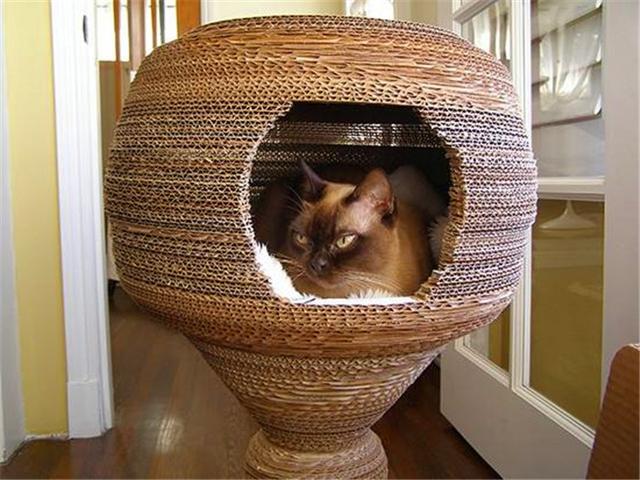 猫窝:猫窝图片 用泡沫箱做个小窝，适合小猫用吗？为什么？