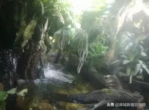 海底世界图片大全真实，青岛极地海洋世界，第一次去不能错过的景色有哪些