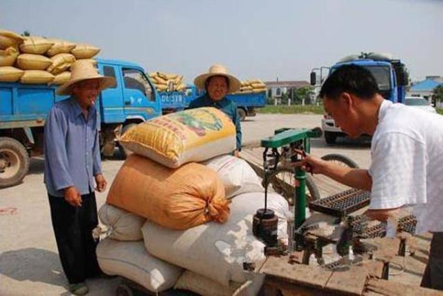 粮食收购,如果有人大量收购粮食是否违法？