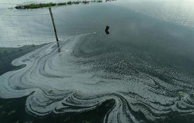 如何选择家用净水器(怎样选购净水器家用)