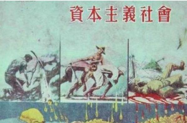 今日巴西夫妇绿水蚺:为什么有人说森蚺不攻击人类？