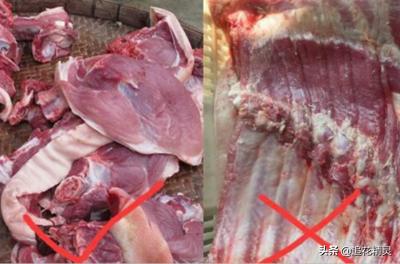 哪种猪肉免费也不能要，有关猪瘟传说很多，真的不能吃猪肉是吗？